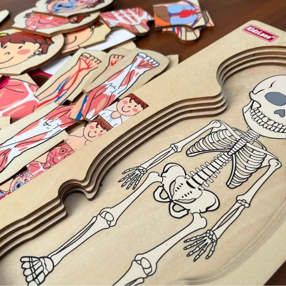 Kids Anatomy Wooden Puzzle Toy - Picture 5 of 7